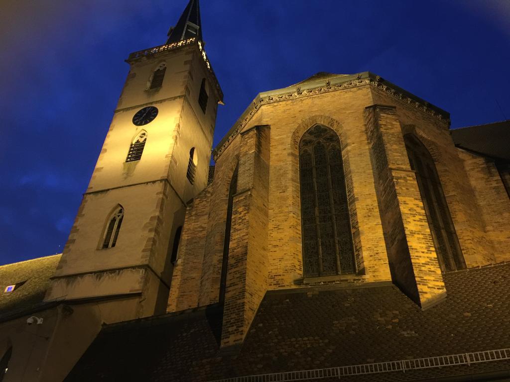 Appartamento La Cour des Cordonniers, Centre Cathédrale Petite France Strasburgo Esterno foto